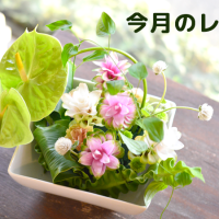 niko*hana -にこはな-