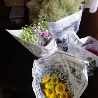 花の工房　野ばらの実