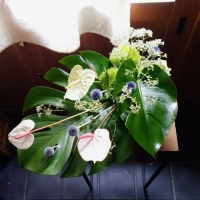 花の工房　野ばらの実