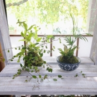 花の工房　野ばらの実