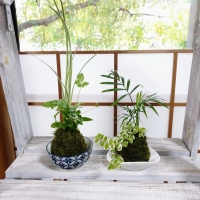 花の工房　野ばらの実
