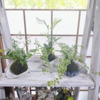 花の工房　野ばらの実