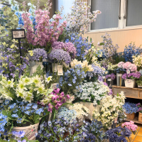 mignonfleur ミニョンフルール